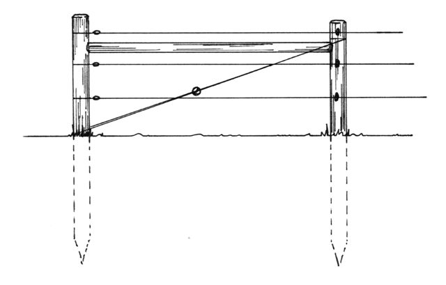 Parallellogram